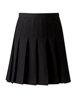 Skirt - Pleated - Designer